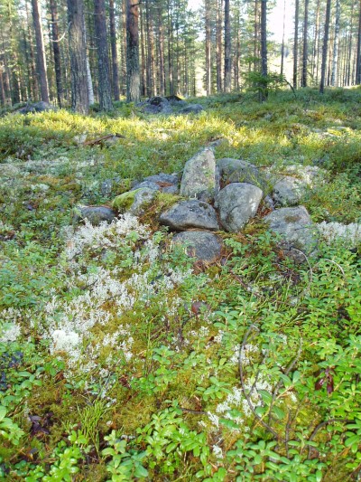 Foto på en hög med stenar i en skog som illusterar en gränsmarkering av råsten.