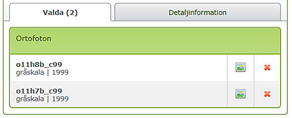 Ruta med två flikar överst: "Valda" och "Detaljinformation". Valda är vald och där syns olika alternativ för ortofoton.