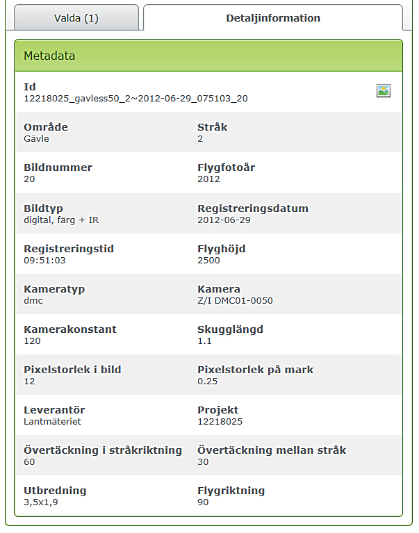 Ruta med valen Valda samt Detaljinformation i form av flikar. Fliken detaljinformation är markerad. Den innehåller olika metadata.