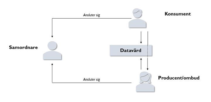 The picture shows a process for how consumers and producers connect via coordinators or data hosts.