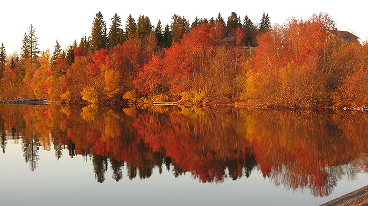 Sjö med skog i höstfärger.