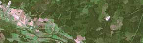 overview